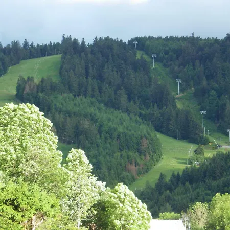 Nouveau Au Gouttridos Avec Vue Lac Gérardmer